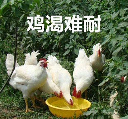 渴