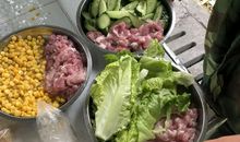 学农日记——番薯大战