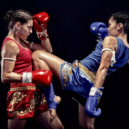 学习泰拳