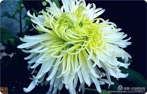 清明召回奶奶