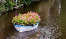 载着心里话的小船