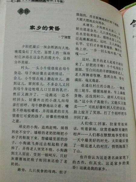 我的故乡于田作文350字