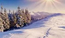 我爱冬天的雪景