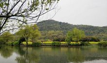 踏青——八卦田