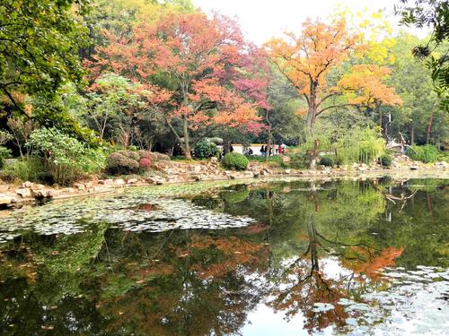 游览中山风景区