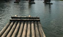 我的暑假快乐之旅