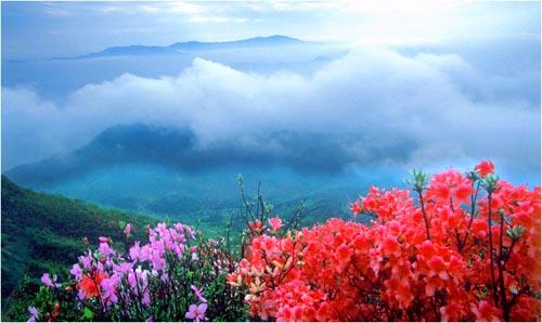 湘四山游