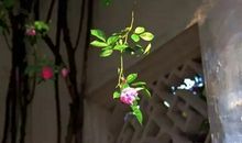 关于积极的处世态度