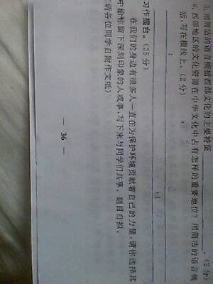 从人到蝙蝠的400字论文