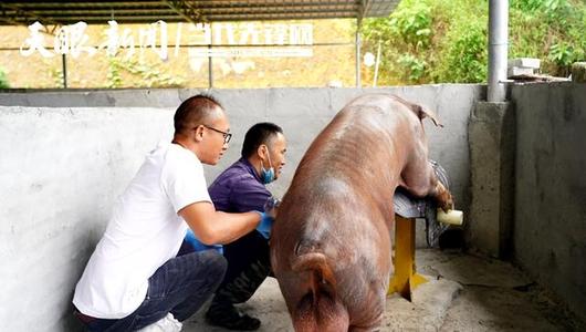 小狗学会叫第四个结局