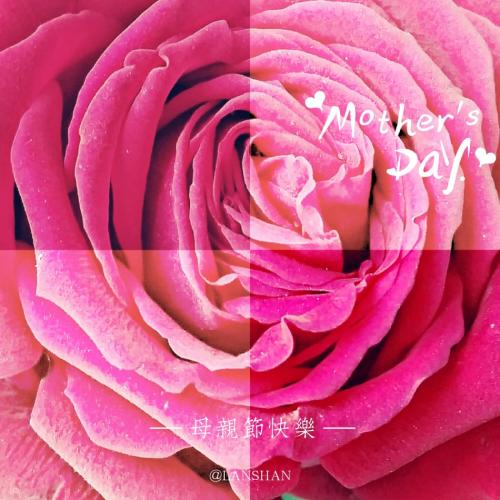 花在我心中