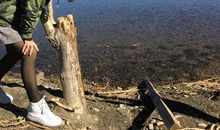 藏在记忆深处的往事