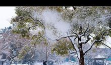 最美不过诗情牵