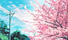 你也可以一路花开