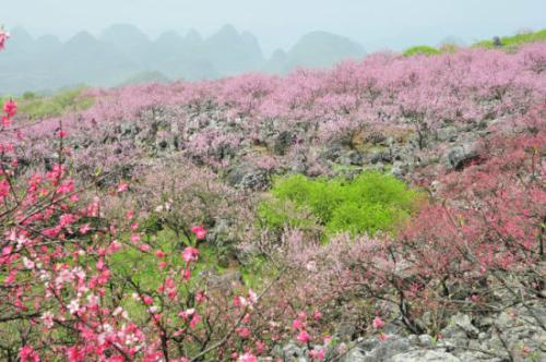 山泉风光