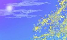 我与自己面对面