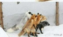 路见不平，拔刀相助