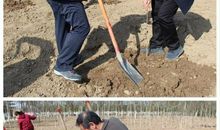 植树护绿从我做起