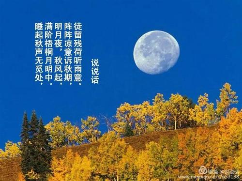 了解孤独