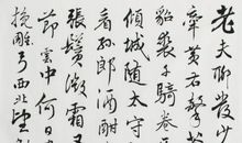 改写《江城子·密州出猎》