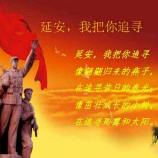 我本来可以追踪