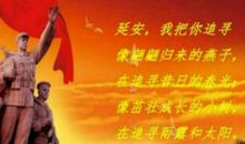 我本来可以追寻