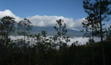 难忘的七彩云南之旅