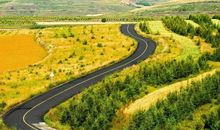 生命是一道美丽的风景