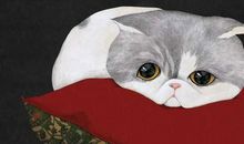 人间处处充满善意