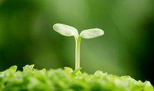 世界因你而美丽