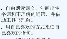 《阳光很活泼》续写