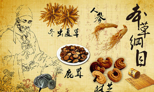 传承是一种魅力