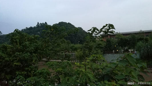 环境创造生活