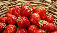 “水果皇后”的自述