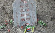 奶奶家里的新鲜事