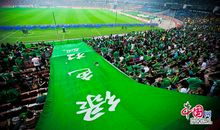 那一片挥之不去的绿色