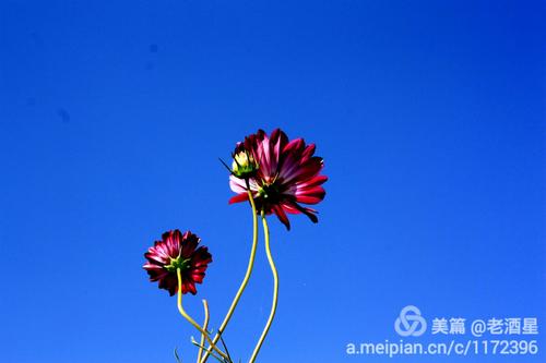 不是天意，而是人为