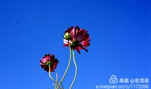 不是天意，而是人为