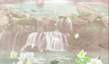 观雨，我的最爱