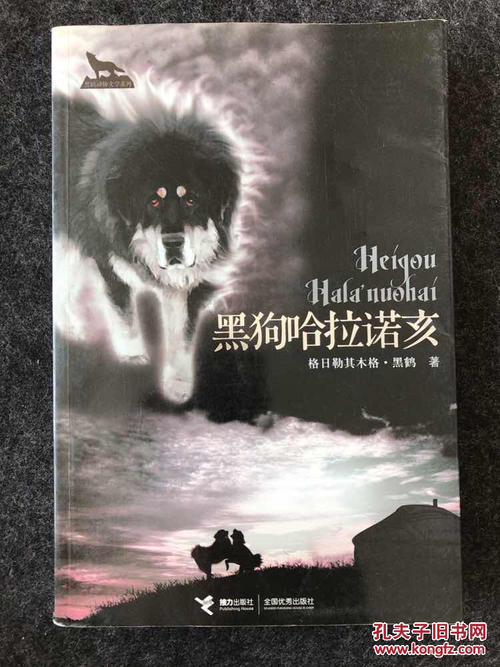 关于阅读《黑狗原野海》的思考