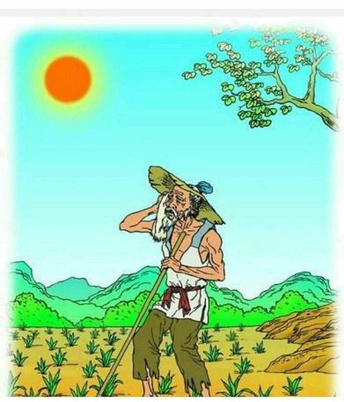 可怜的农民