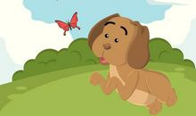 追逐蝴蝶的小孩