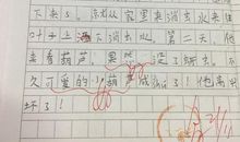 《我要的是葫芦》续写