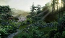 校园四季的美丽景色