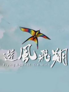 她教我逆风飞行