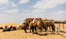 严厉是最美的行囊