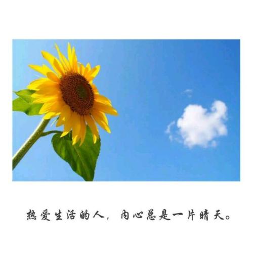 热爱生活的人