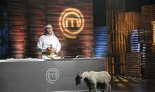 我家的“顶级厨师”