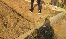 播下种子收获希望