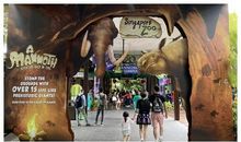 欢乐的“动物园”